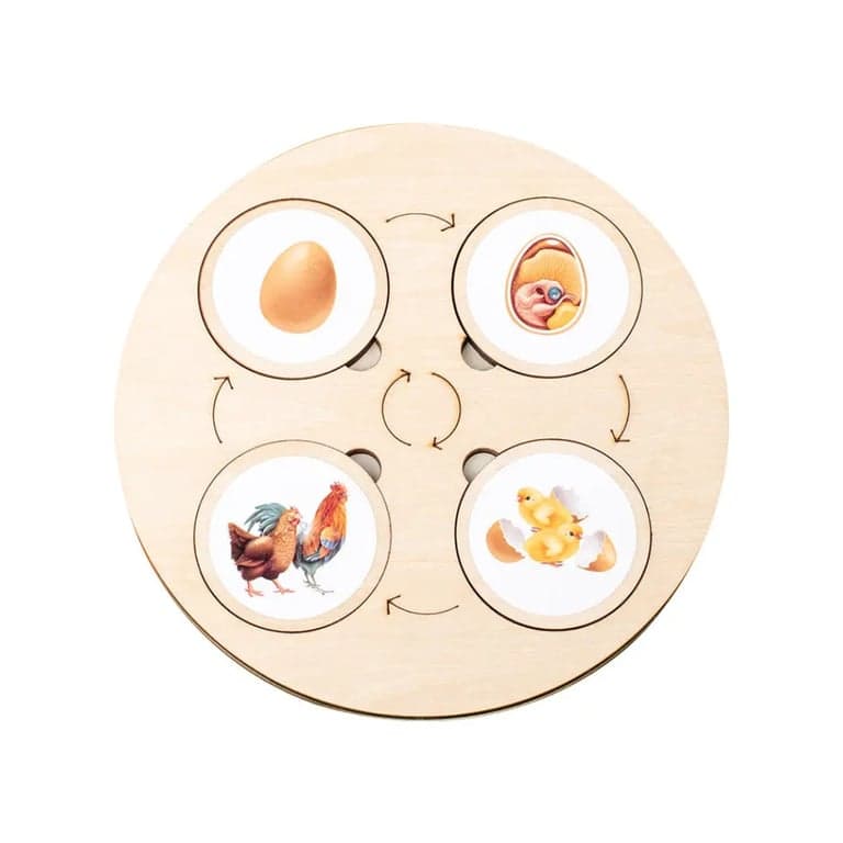Seaside-Montessori Life Circle Game