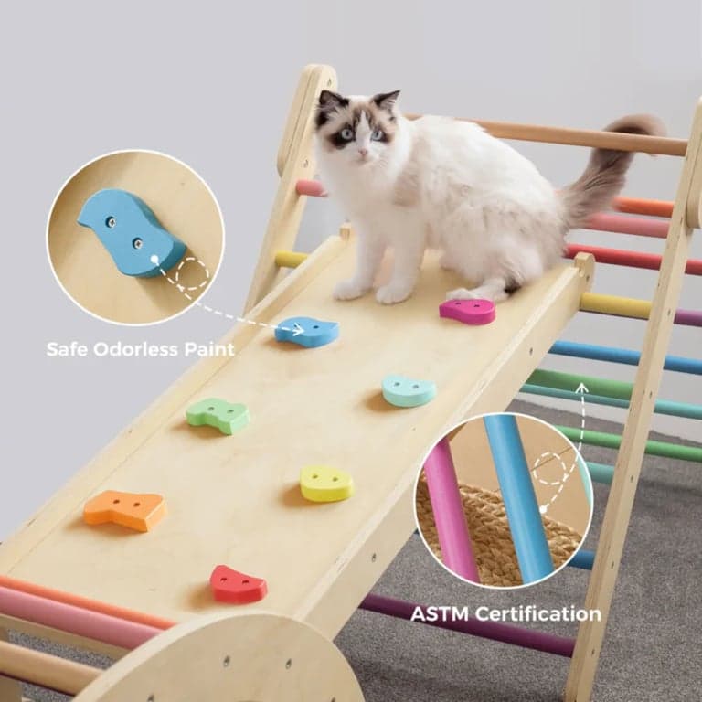 image de catégorie