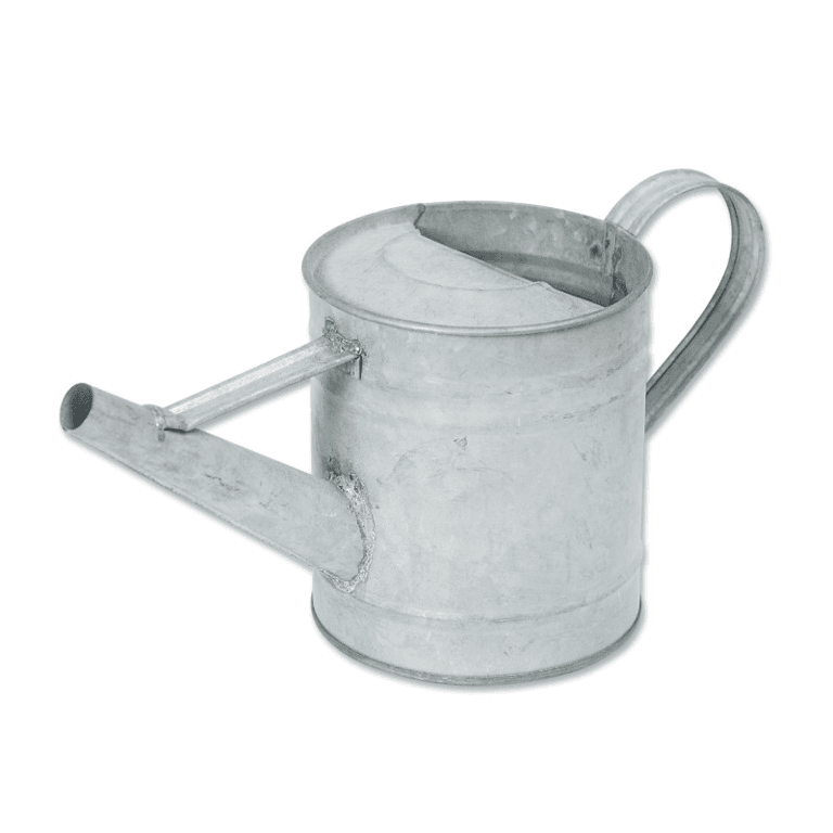 Montessori Services Mini Galvanized Watering Can
