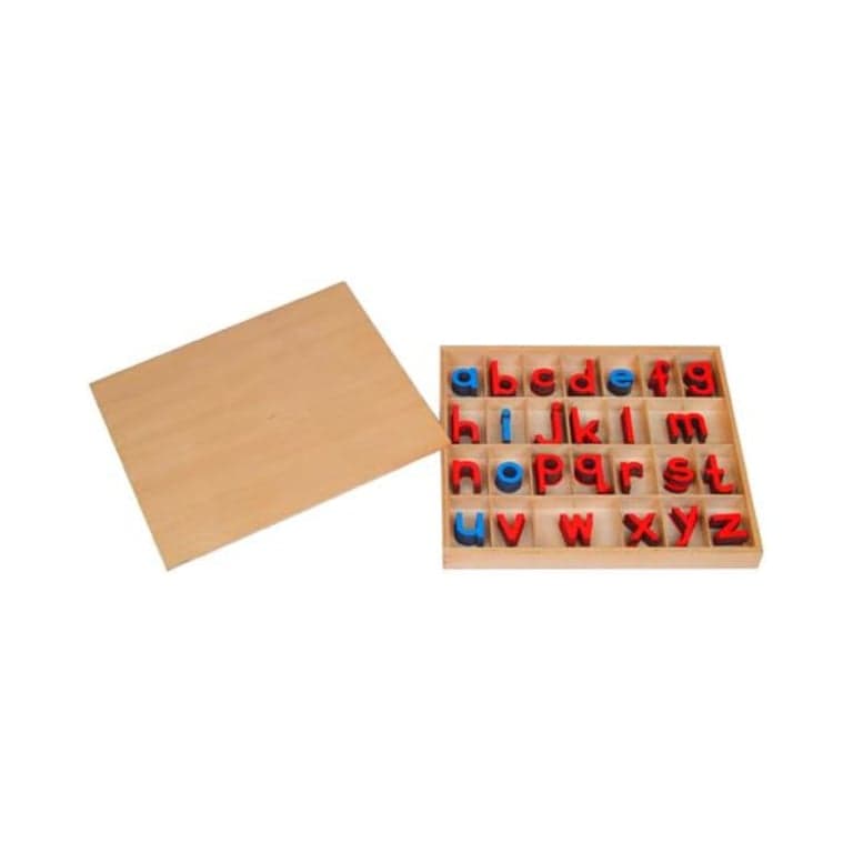Kid Advance Montessori Small Movable Alphabets With Box