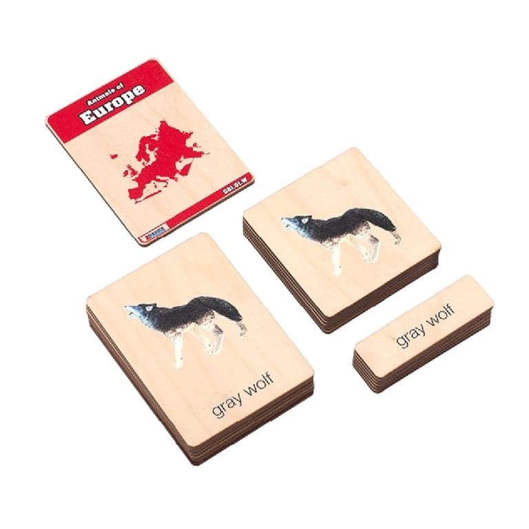 Alison's Montessori Wooden Nomenclature Cards Animals of Europe