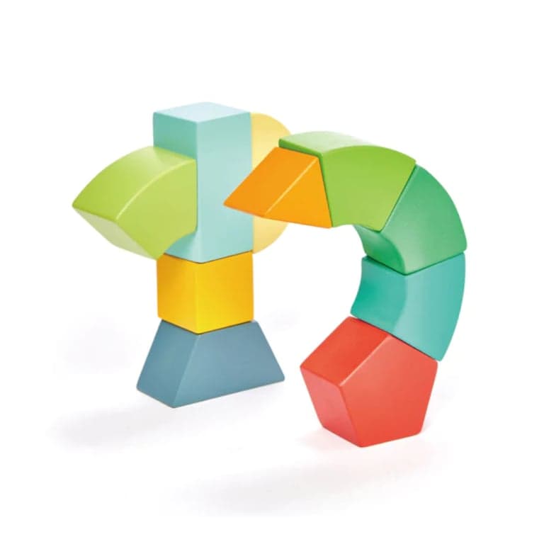 Tender Leaf Toys Primary Magblocks