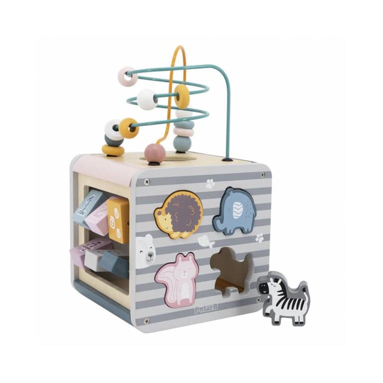 PolarB Cube d'activités
