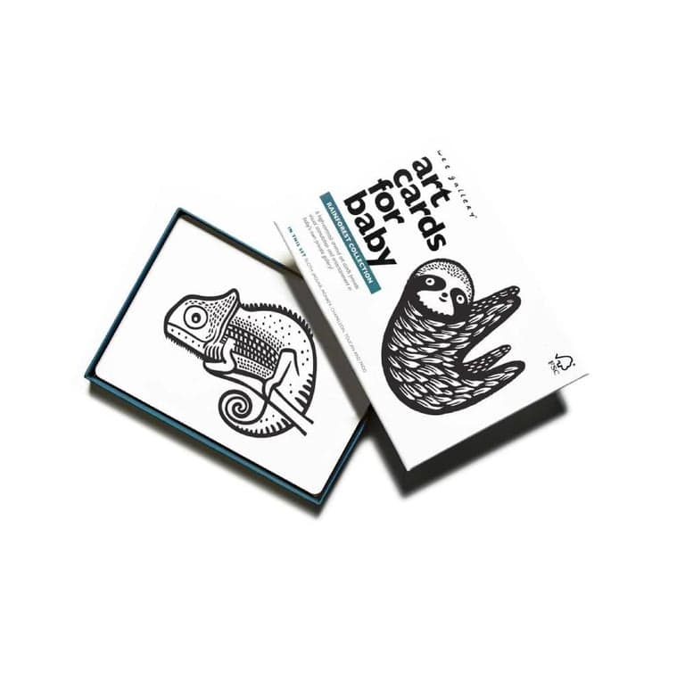 Wee Gallery Art Flash Cards Rainforest Animals Collections