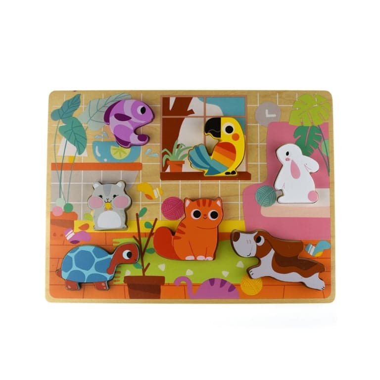 Tooky Toy Puzzle de Formes Animaux Domestiques