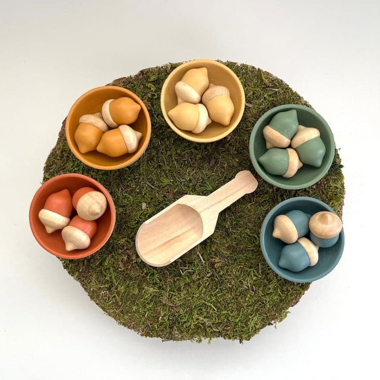 Jack and Liv Creatives Acorn Sorting Toys