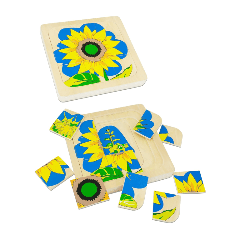 Xylolin Layer Puzzle Life Cycle of Sunflower