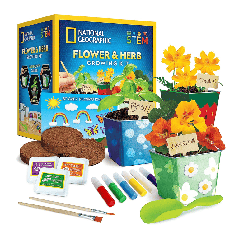 NATIONAL GEOGRAPHIC Flower & Herb Gardening Kit