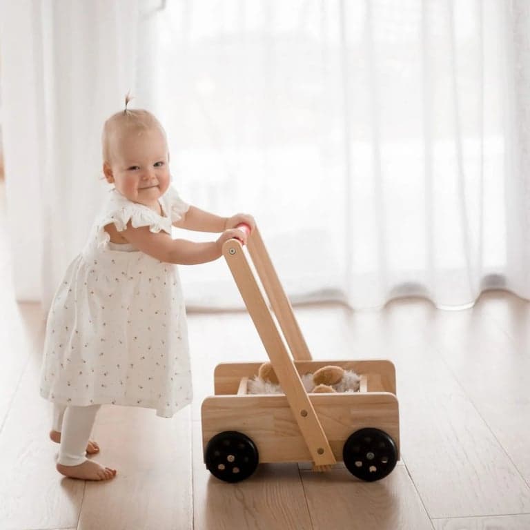 Qtoys Classic Baby Walker