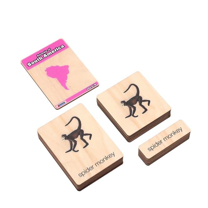 Alison's Montessori Wooden Nomenclature Cards Animals of South America