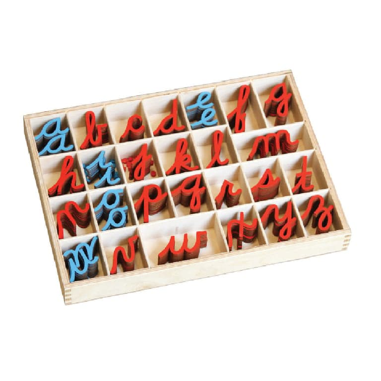 Bruins Montessori Small Movable Alphabet Cursive 10 & 20 Count With Box