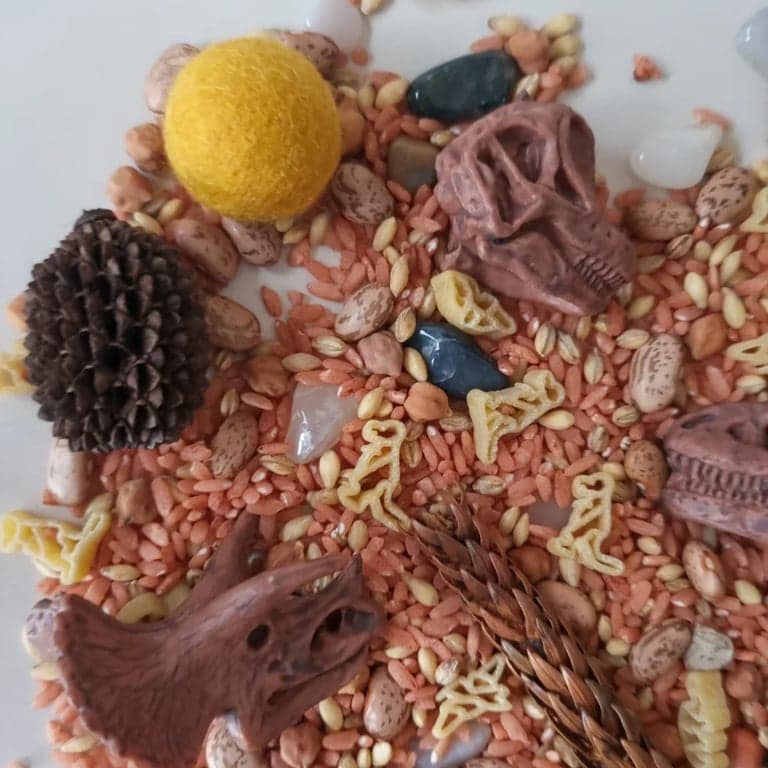 image de catégorie