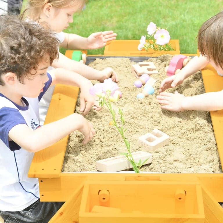 image de catégorie