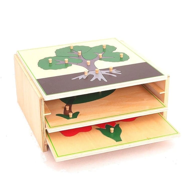 Pink Montessori 3 Botany Puzzles & Cabinet