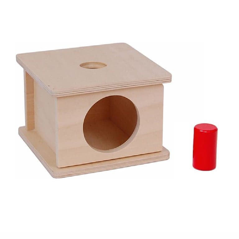 Kid Advance Montessori Imbucare Box With Small Cylinder