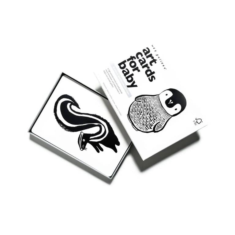 Wee Gallery Art Flash Cards Black and White Collections