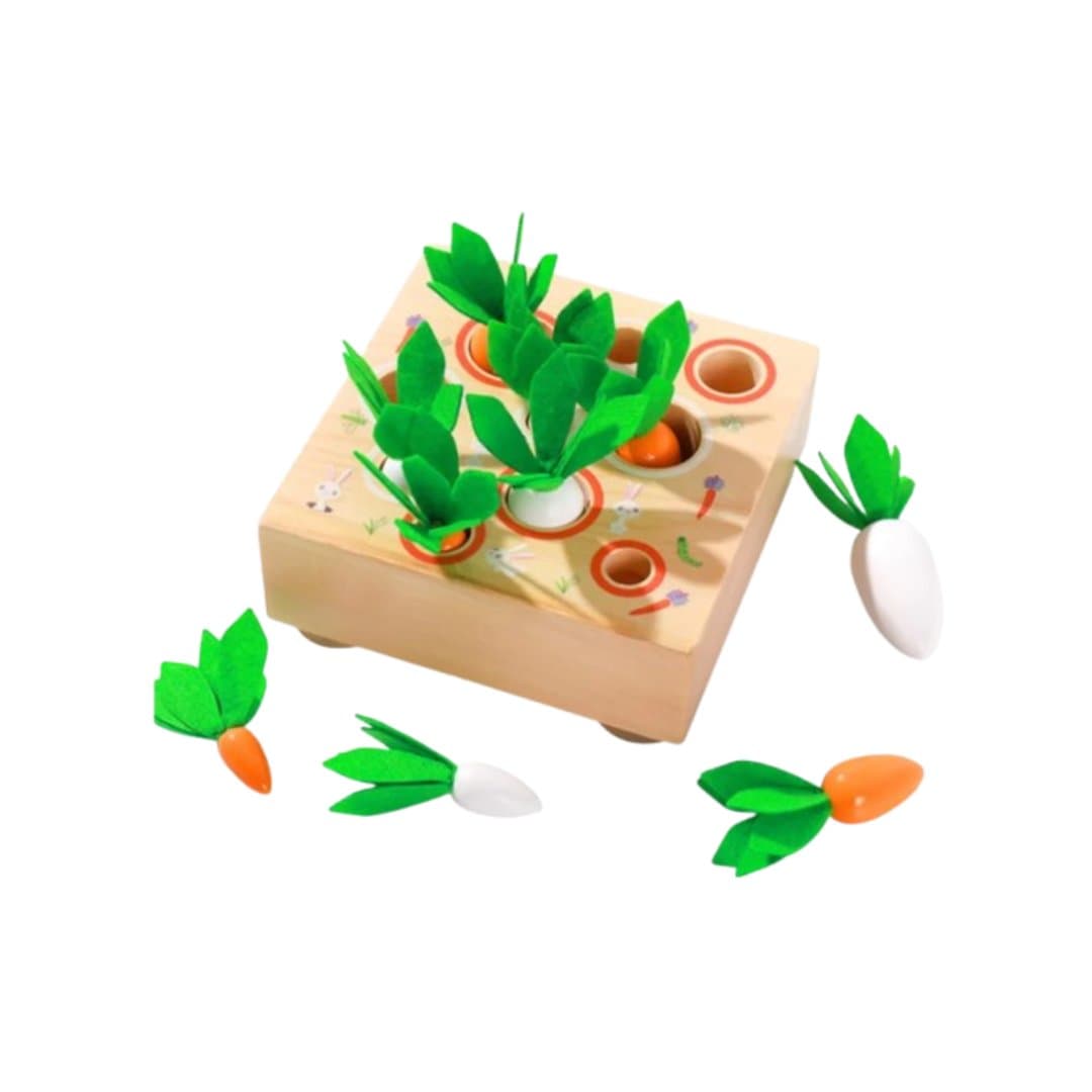 Elis Design Jeu d'association de carottes