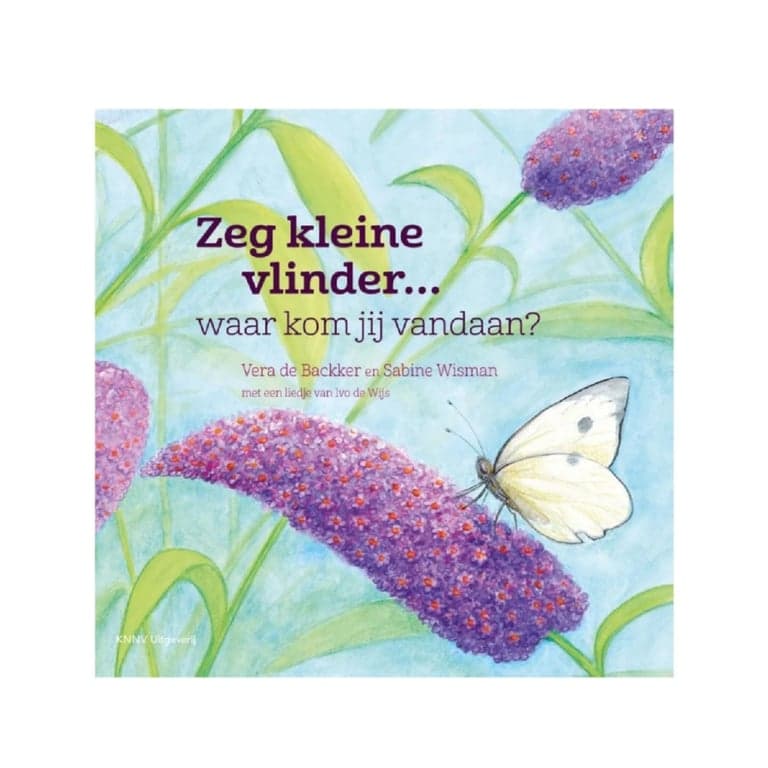 Say Little Butterfly