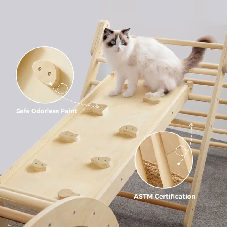 image de catégorie