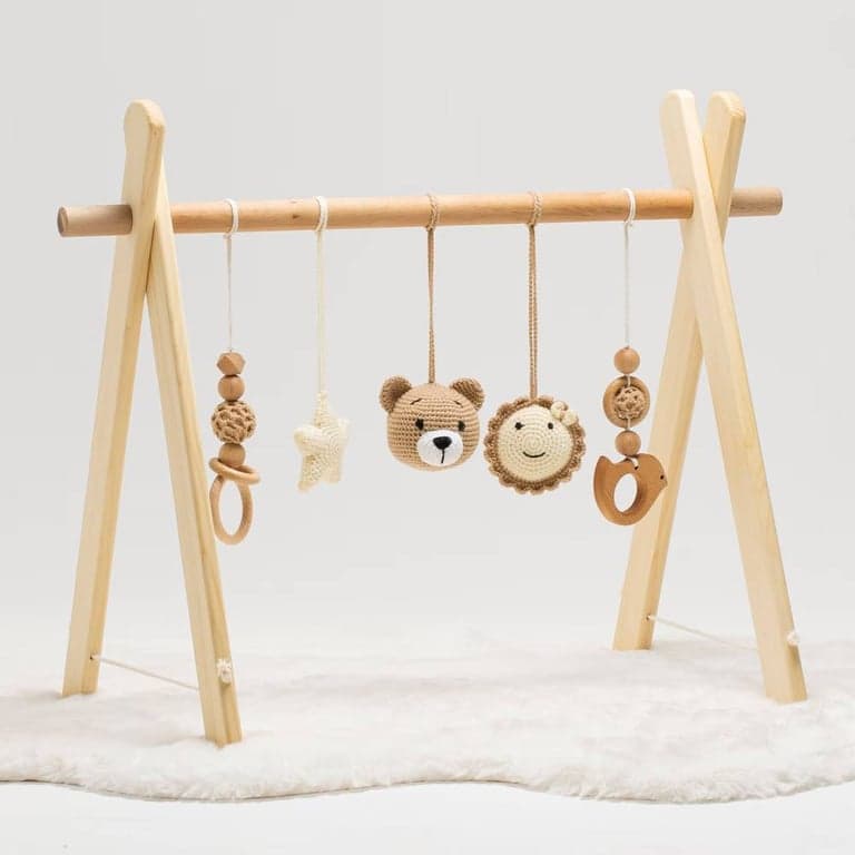 Wonder Pecker Play Gym Set Bear
