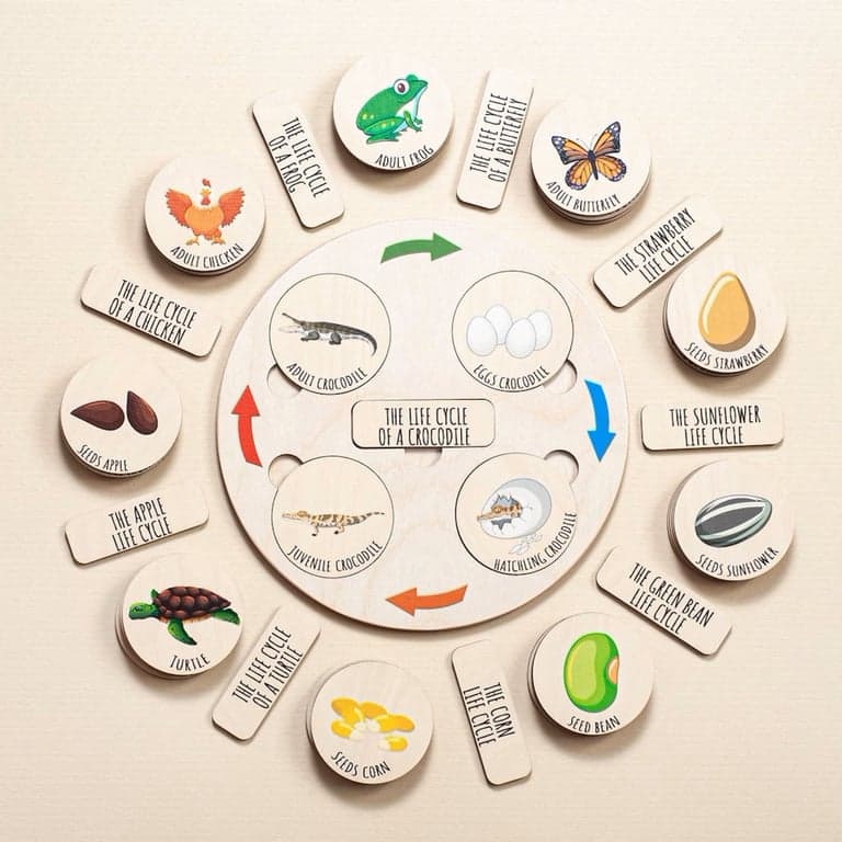 Fistik Puzzle Life Cycle Tray Puzzle Only