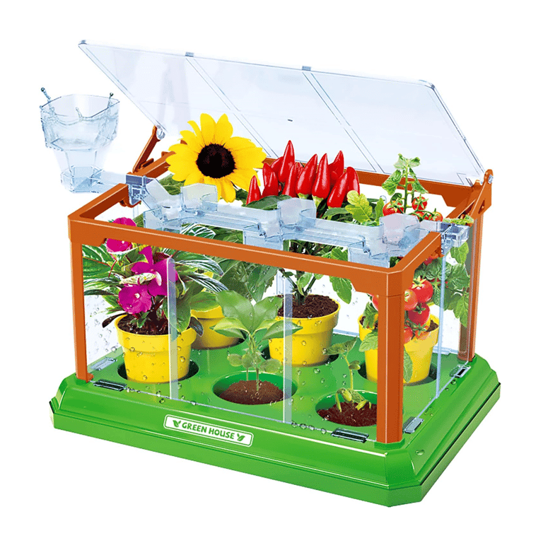 EXBEPE Greenhouse Growing Terrarium Kit